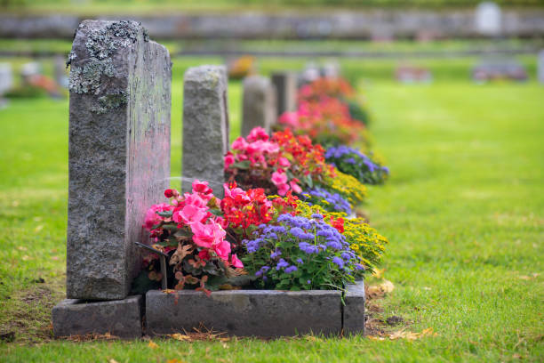 le cimetière